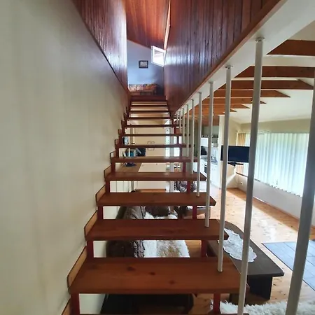 Daire Grazinos Ir Vinco Namai *