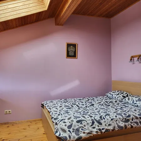 Daire Grazinos Ir Vinco Namai Palanga