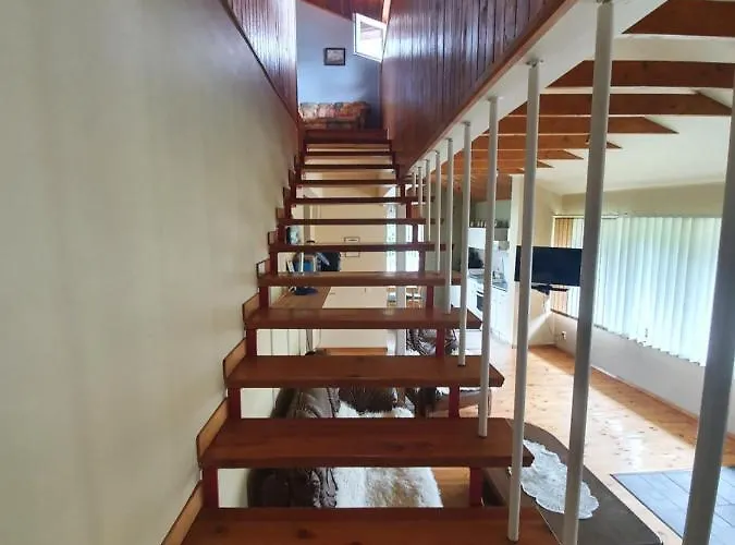 Apartment Grazinos Ir Vinco Namai *