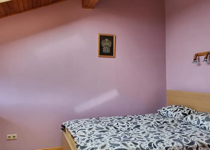 Apartment Grazinos Ir Vinco Namai Palanga